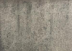 カビが生えた外壁