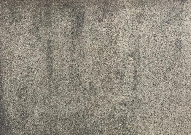 カビが生えた外壁