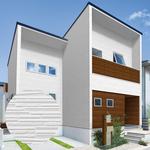 シャインウォールについて