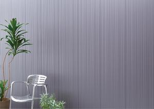 スタイリッシュラインHについて