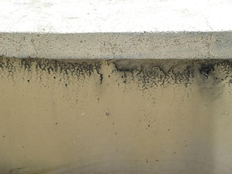 外壁カビの参考画像