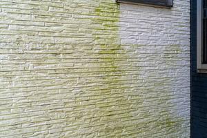 藻やコケの発生について