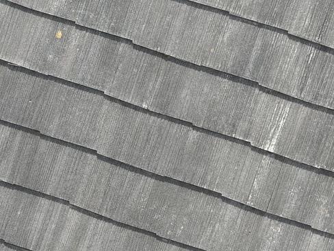 ニューコロニアル