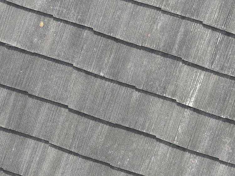 ニューコロニアル